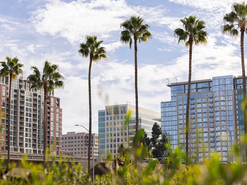 Trademark attorney serving Silicon Valley
