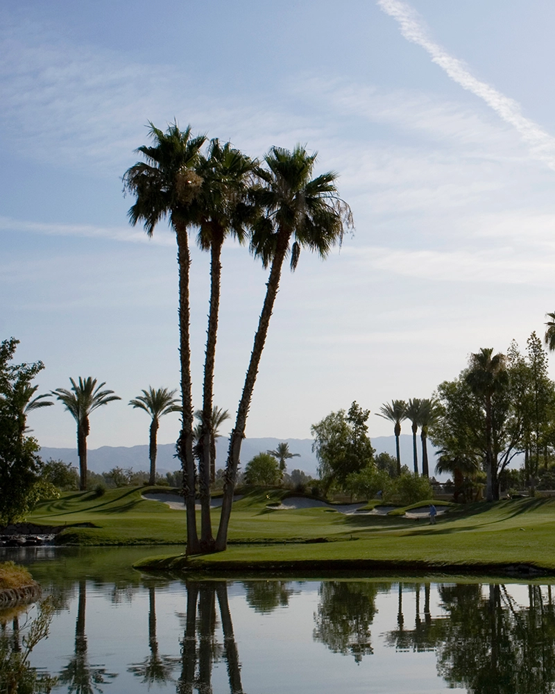 Palm Springs Trademark Attorney
