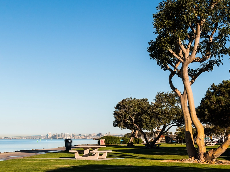 Chula Vista trademark attorney