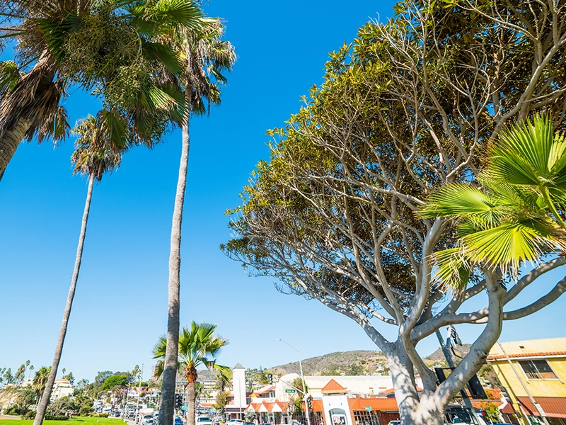 Laguna Beach trademark attorney